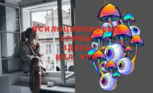 индика Алексин