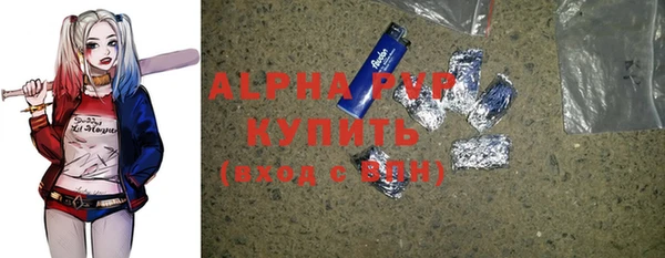 индика Алексин