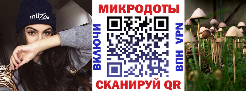 Галлюциногенные грибы Psilocybe  Цимлянск 